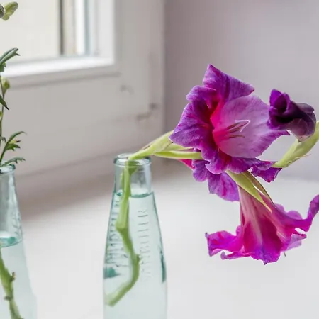 Bed & Breakfast Das Mietwerk - Lindau (Bodensee)