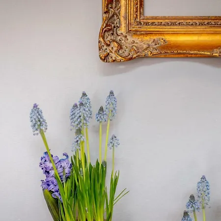 Bed & Breakfast Das Mietwerk - Lindau (Bodensee)